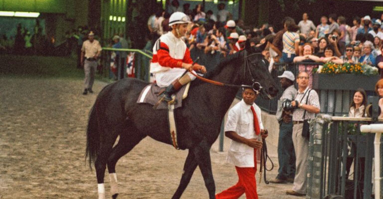 12 Legendary Horses Who Stole the Spotlight from Their Riders