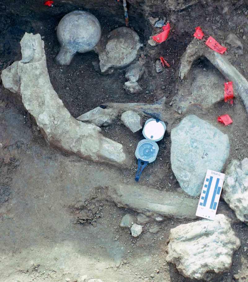 The Cerutti Mastodon Site