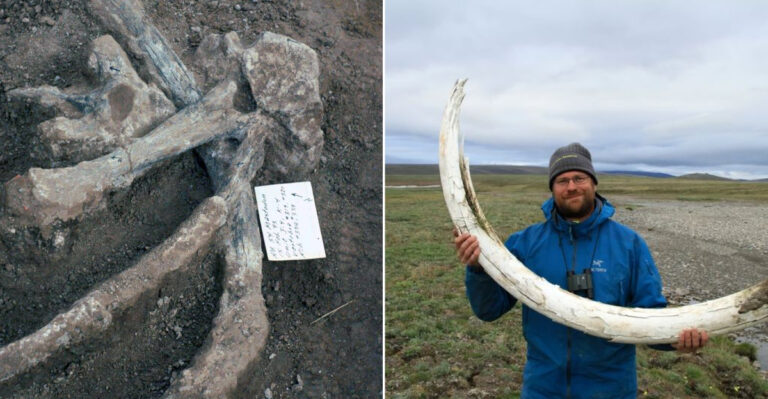15 Prehistoric Discoveries That Could Rewrite American History