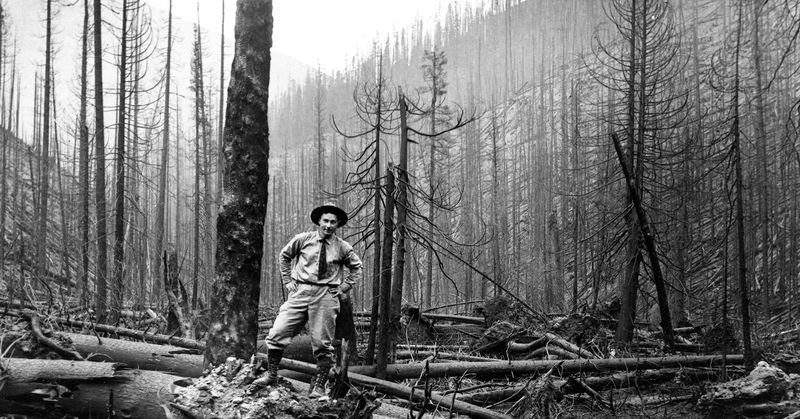 Birth of Aggressive Fire Suppression