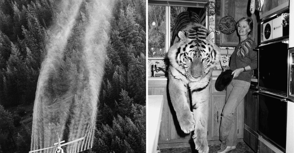 17 Things from the ’70s You Can’t Legally Own Anymore