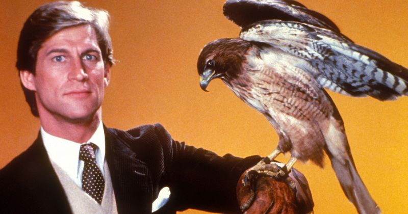 1983 – Manimal