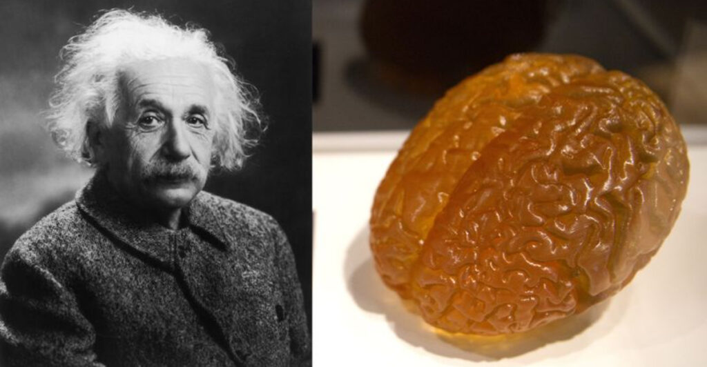 29 Remarkable Artifacts from History’s Greatest Figures That Defied Time