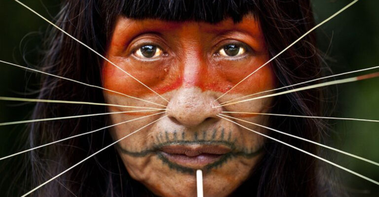 5 Jungle Tribes Everyone Knows – And 13 Hidden Ones That Matter More