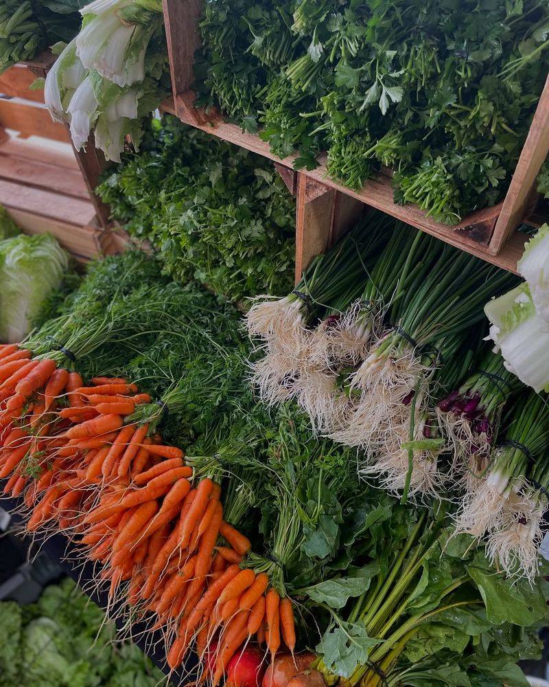 Bunch of Carrots