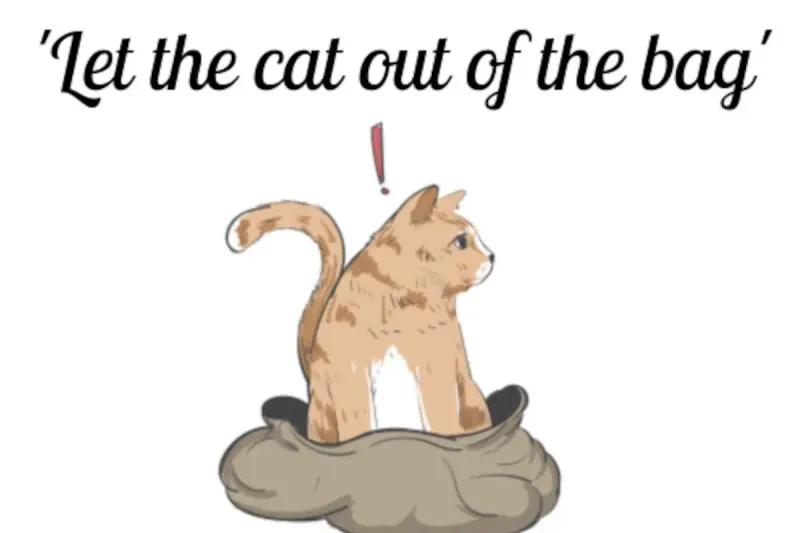 Let the cat out of the bag