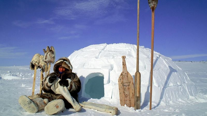 Snowshoes & Igloos: Winter Survival Technologies