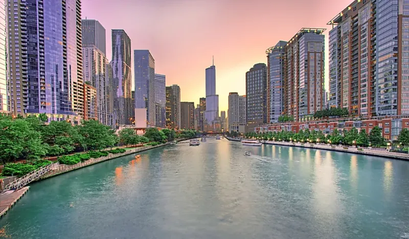 Chicago: Wild Garlic Country