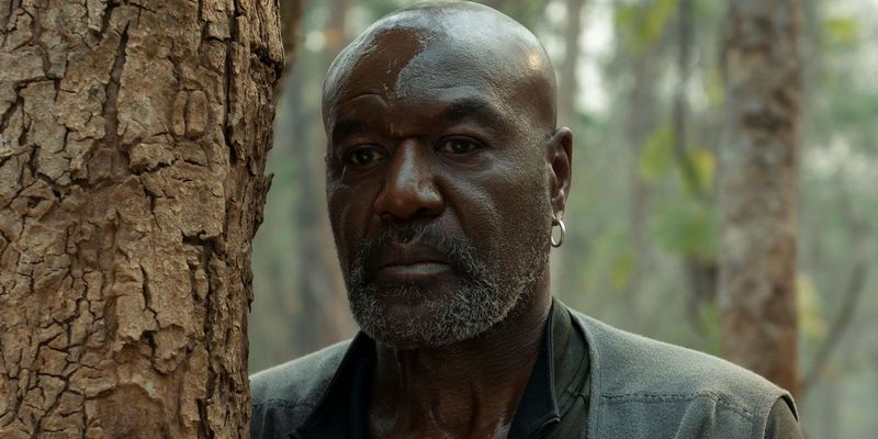 Delroy Lindo: The Veteran Who Delivers Every Time