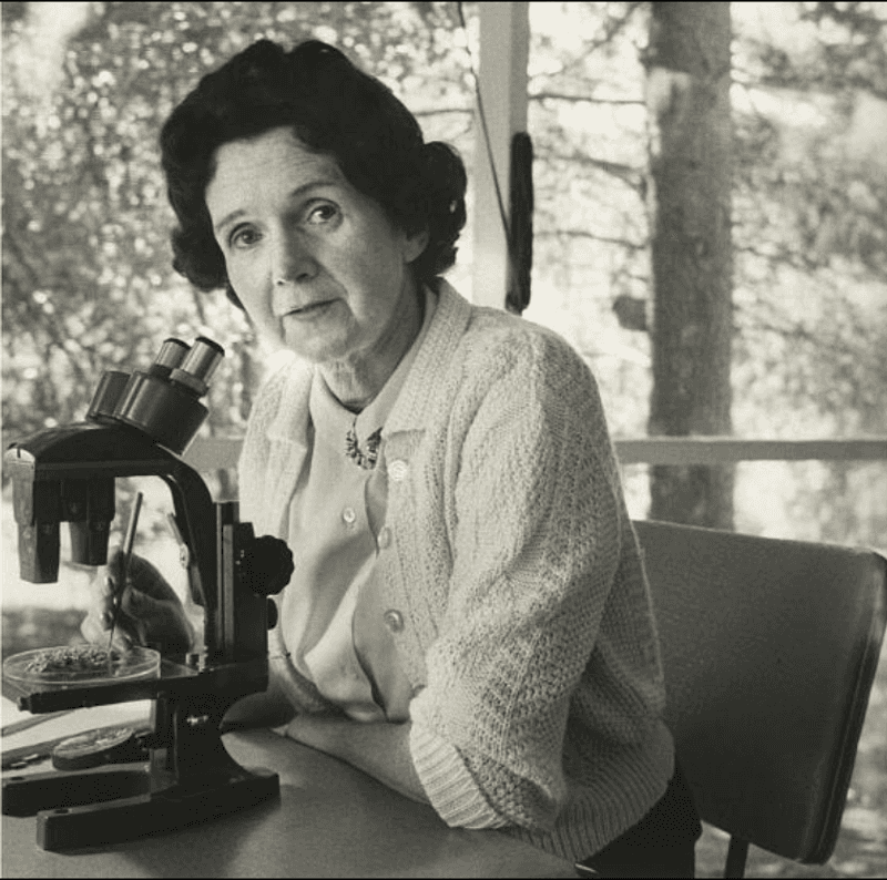 Rachel Carson (1907–1964)