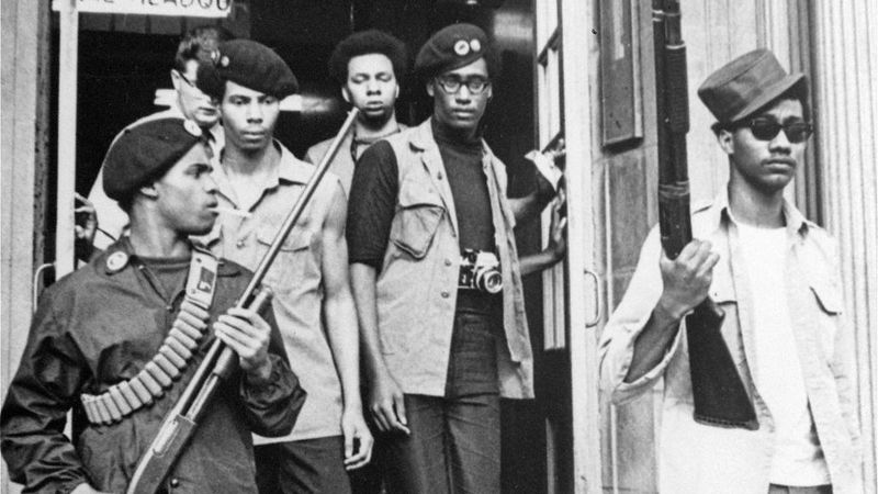 Revelations: The Black Panthers