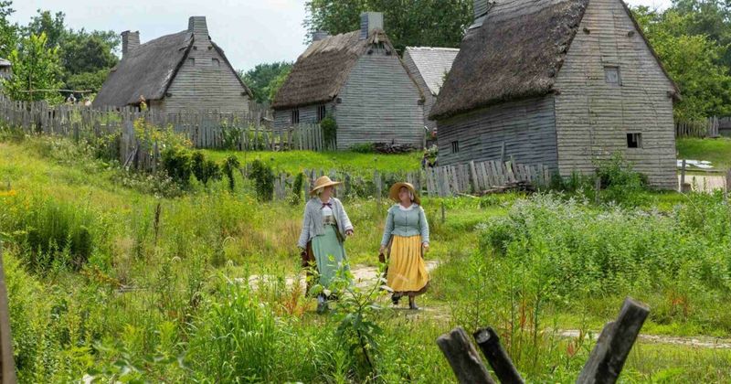 Everyone Lived in Log Cabins