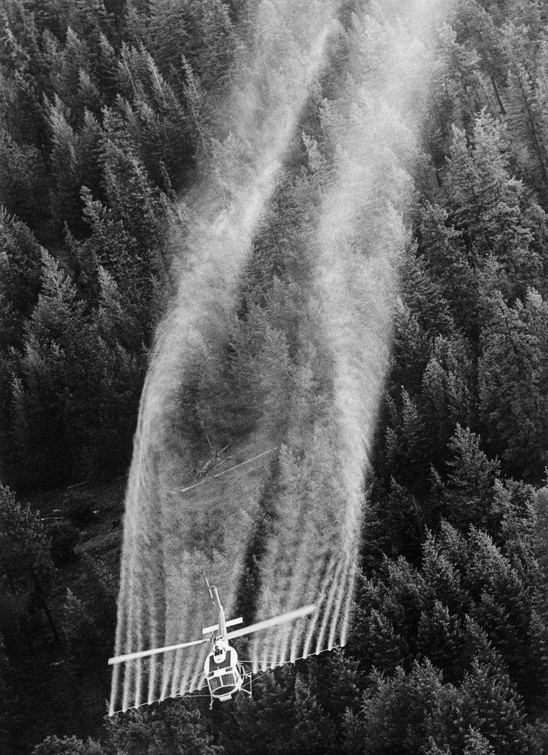 DDT Pesticide