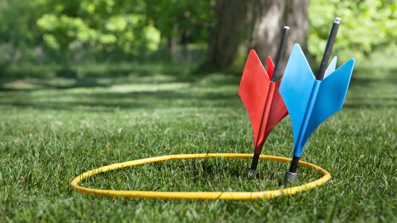 Lawn Darts Danger Assessment