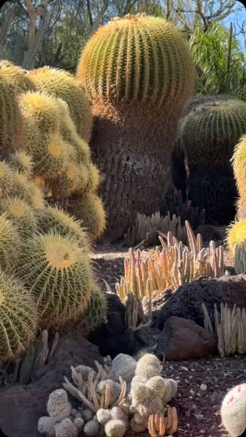 Huntington Library, Art Museum, and Botanical Gardens – California