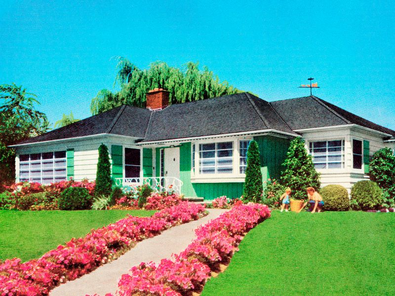 Textured Lawns