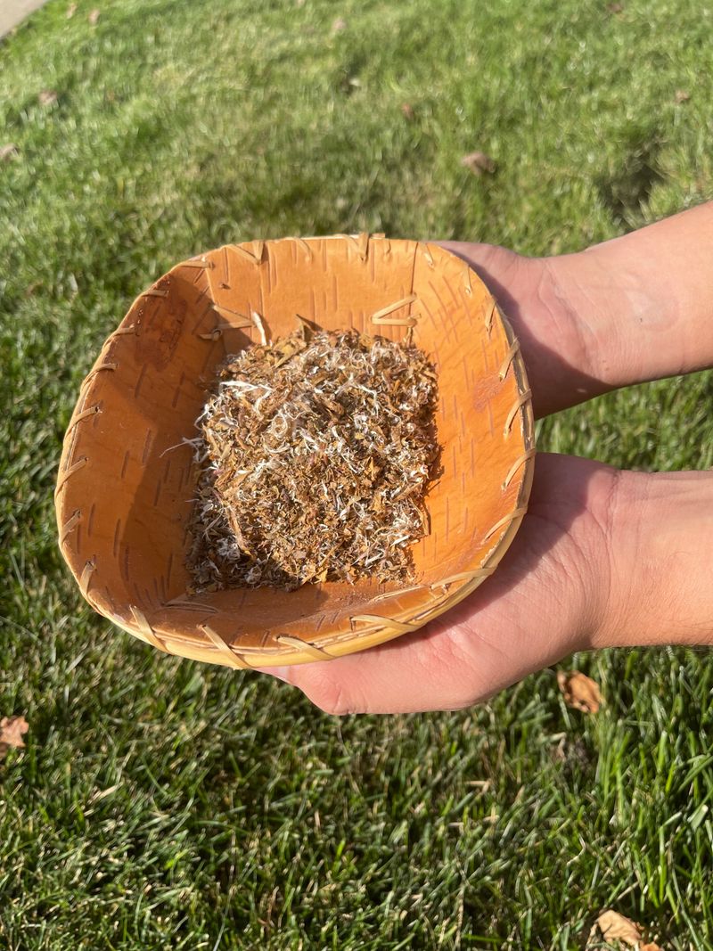 Tobacco: Sacred Plant Turned Global Industry