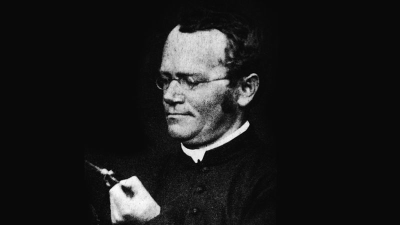 Gregor Mendel (1822–1884)