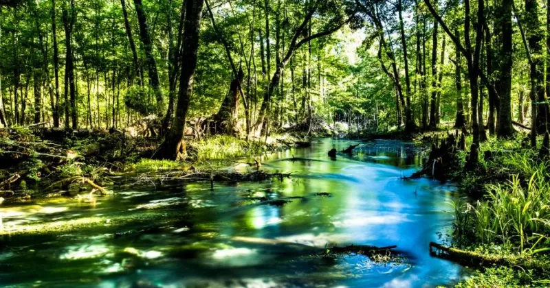 Battle of Natural Bridge, Florida