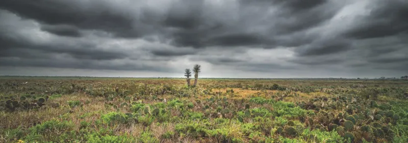 Battle of Palmito Ranch, Texas