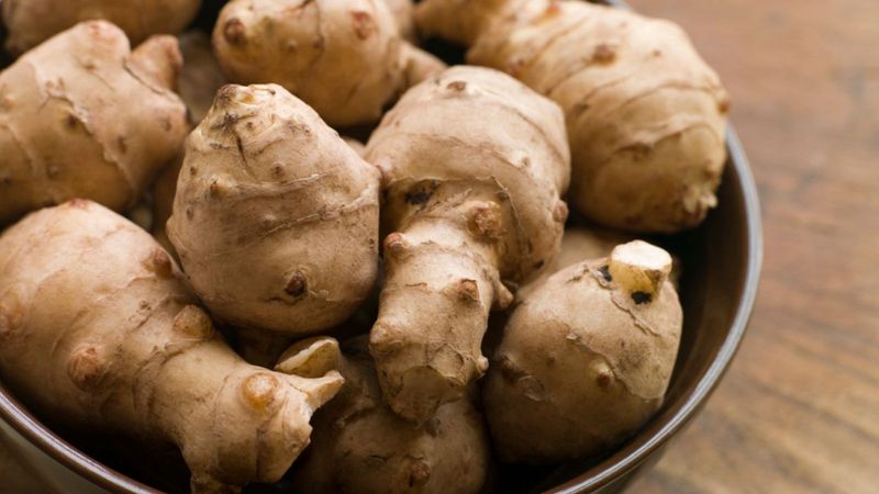 Jerusalem Artichoke (Sunchoke)