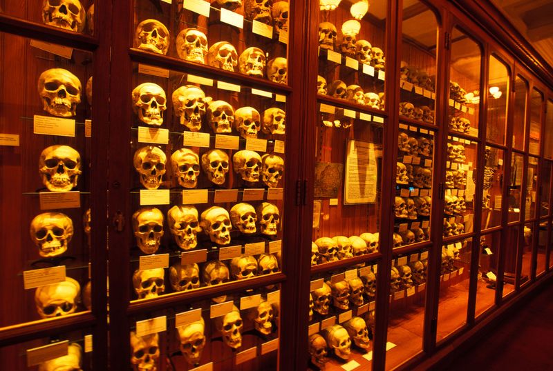 The Mutter Museum (Philadelphia, Pennsylvania)