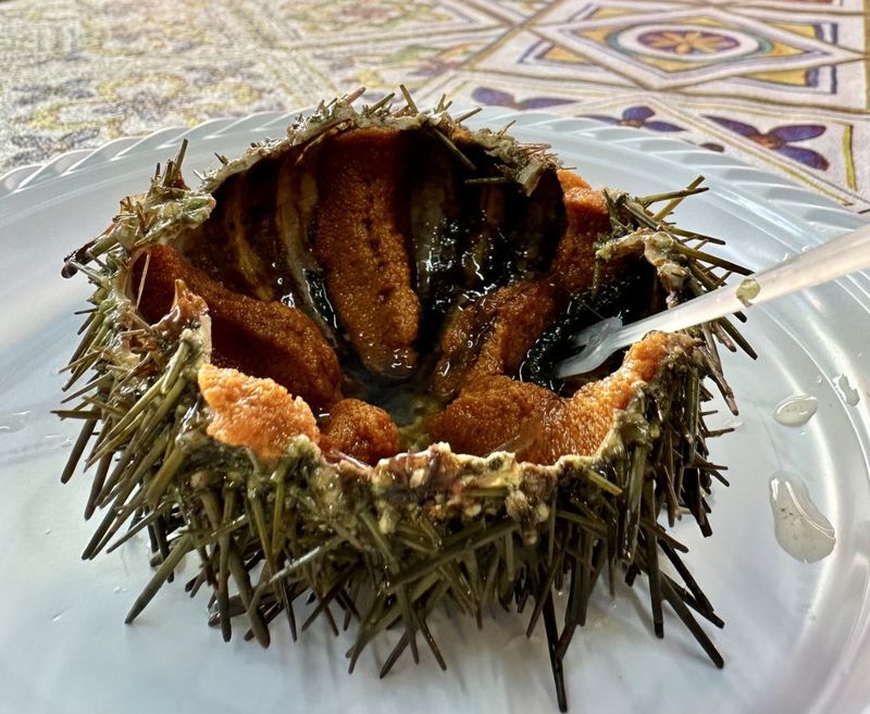 Sea Urchin & Garum Salad