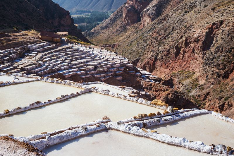 Salt (Ancient Times)