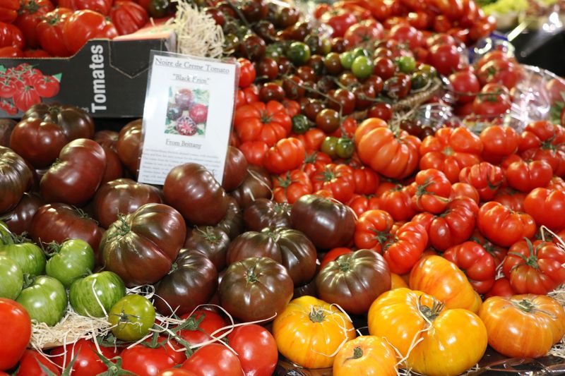 Pound of Tomatoes