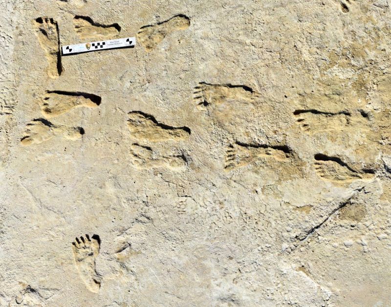 White Sands Footprints – New Mexico