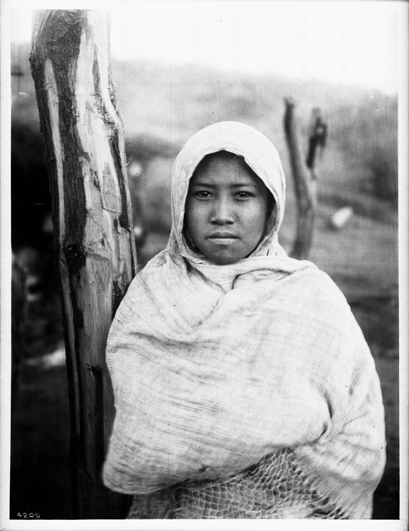 Women Were Forced to Marry Chinese Immigrants