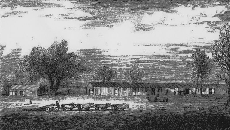 Camp Groce – Texas