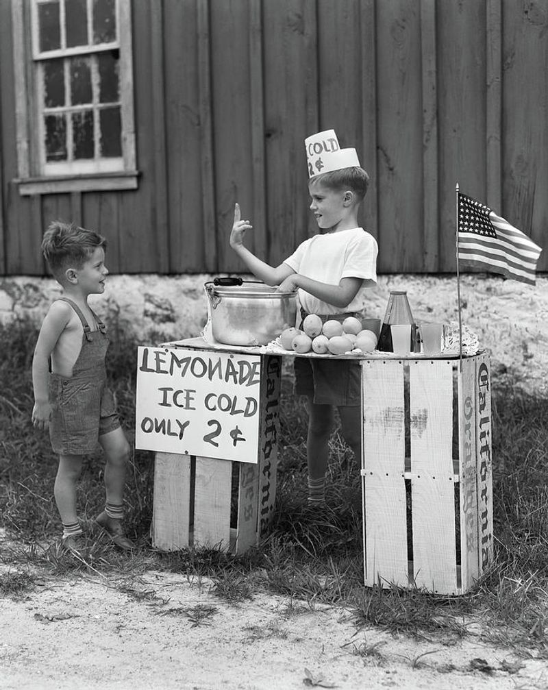 Sold Lemonade on the Corner