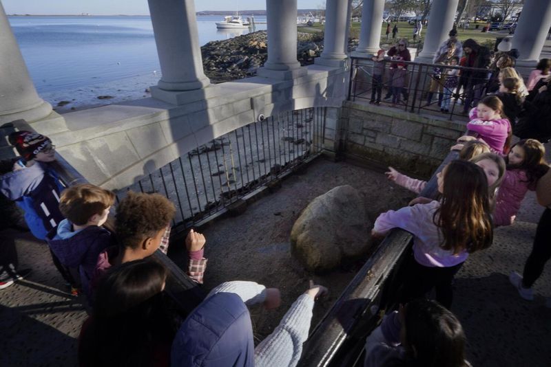 Plymouth Rock: A Crumbling Origin Symbol