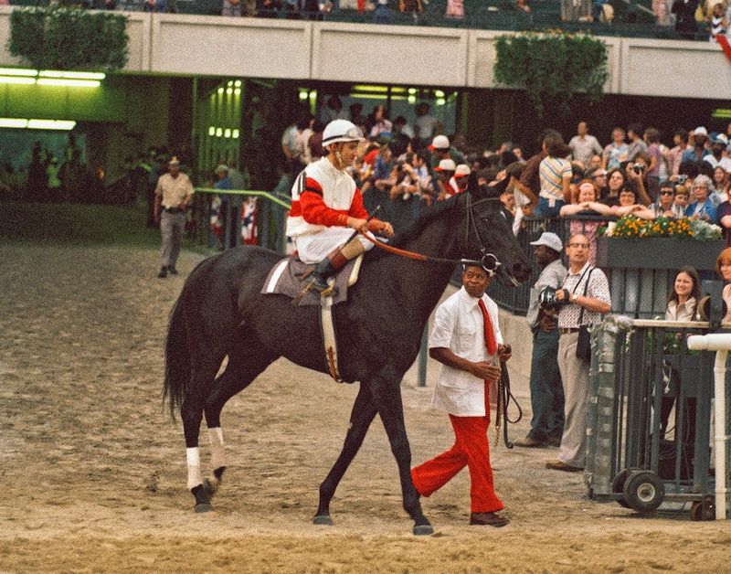 Ruffian (The Undefeated Filly)