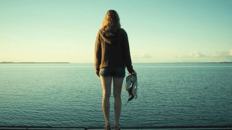 Triangle (2009)