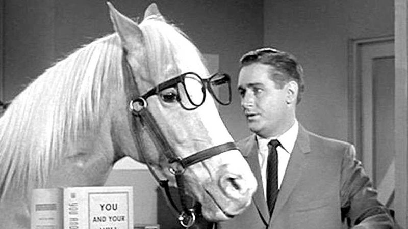 Mr. Ed (The Talking TV Horse)