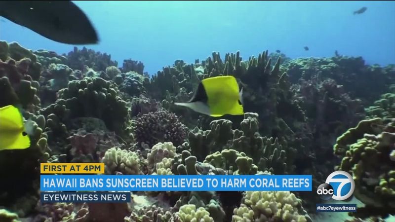 Hawaii's Groundbreaking Ban (2018)