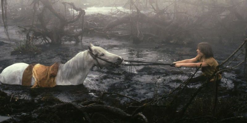 The NeverEnding Story (1984)