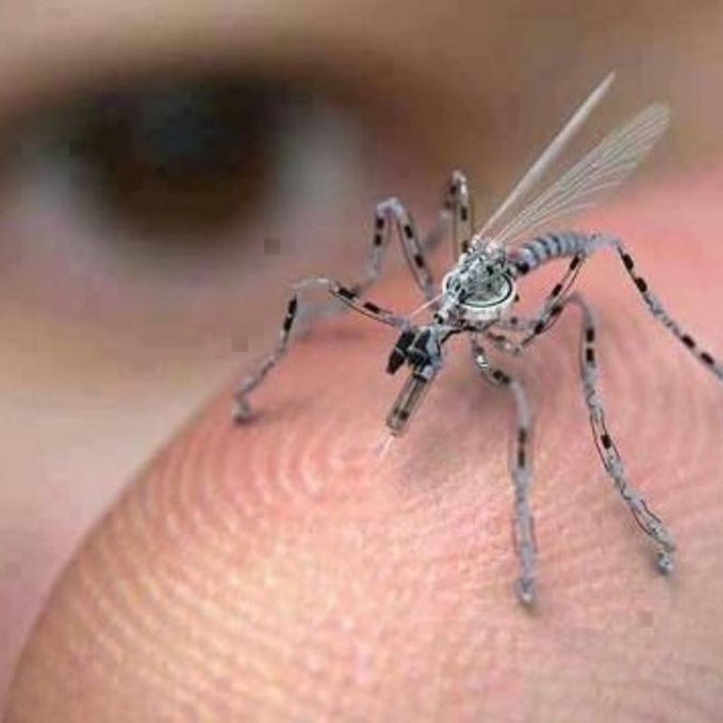 Insects Are Spies