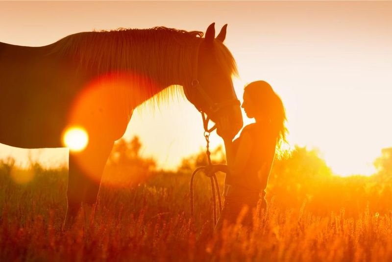 Breathtaking Hill Country Sunsets