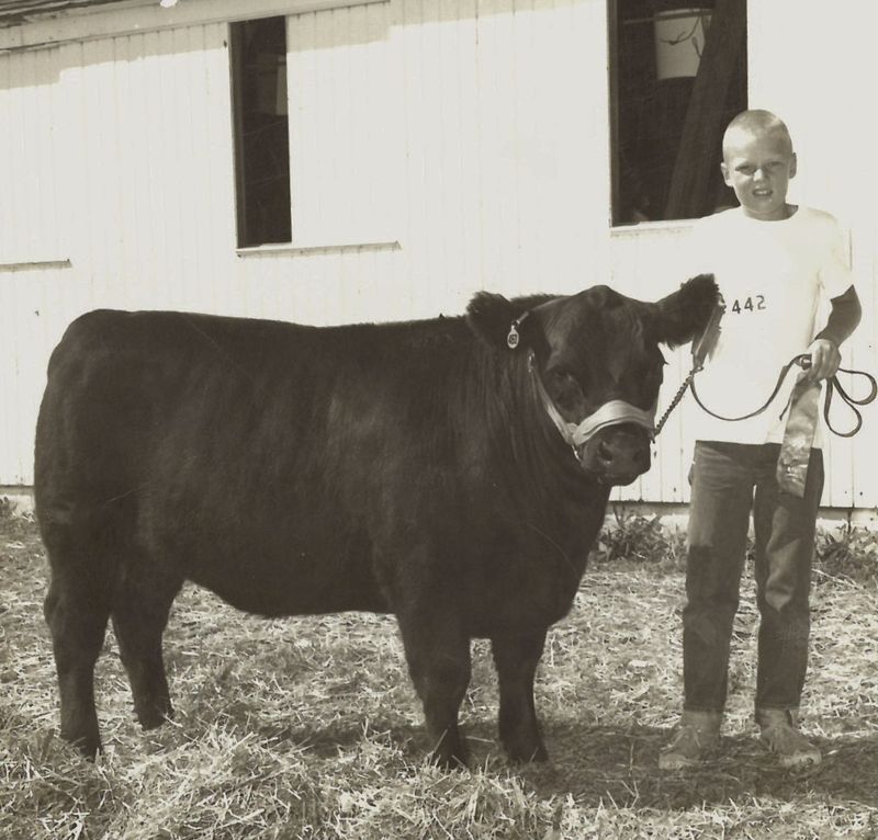 Don’t have a cow!
