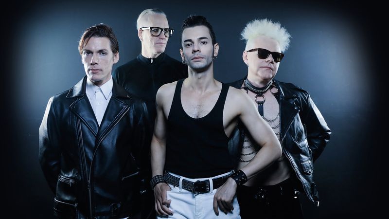 A Flock of Seagulls (