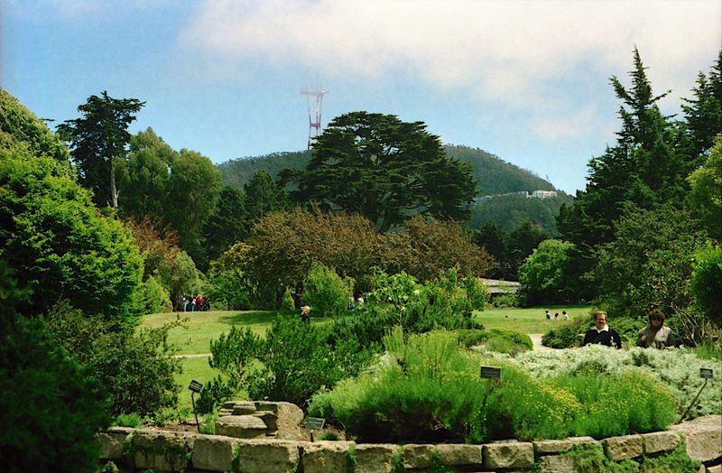 San Francisco Botanical Garden – California