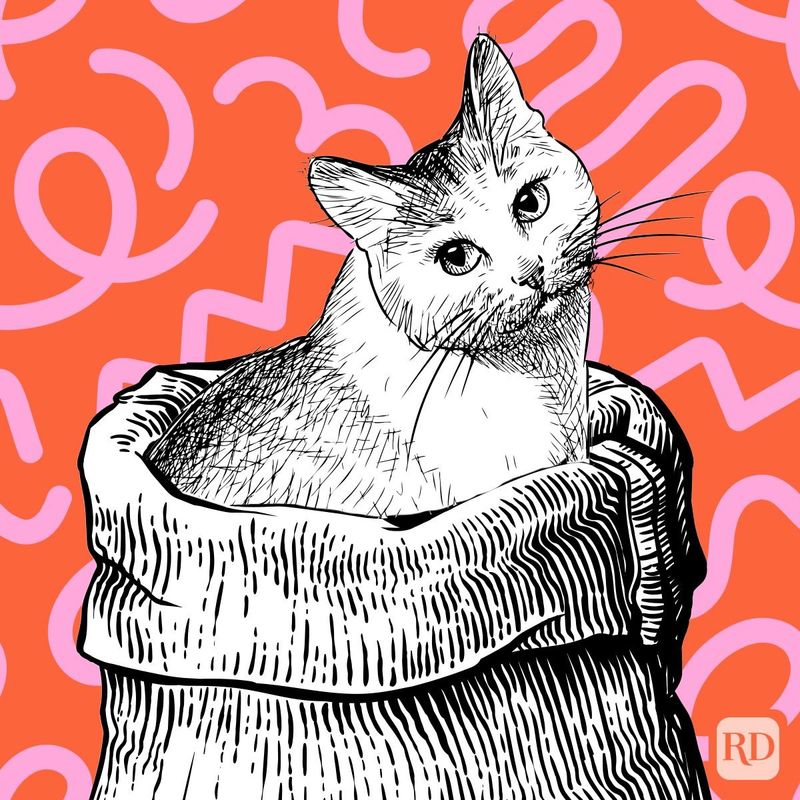 Let the cat out of the bag