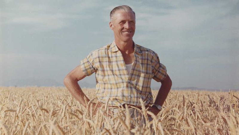 Norman Borlaug – The Scientist Who Saved a Billion Lives (But You’ve Never Heard of Him)