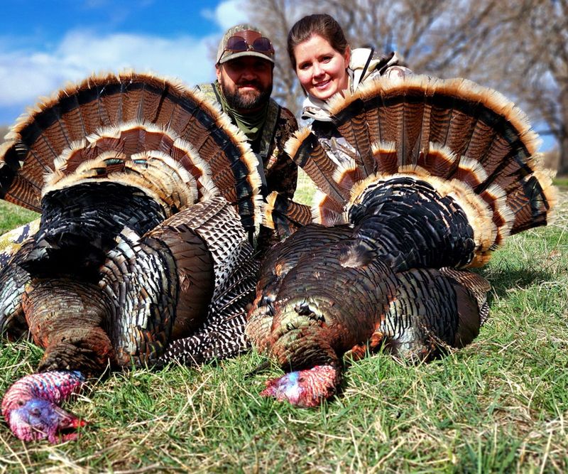 Turkey Hunting
