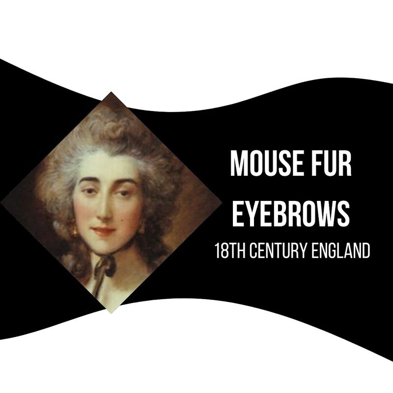Fake Eyebrows Made of Mouse Fur (18th Century)