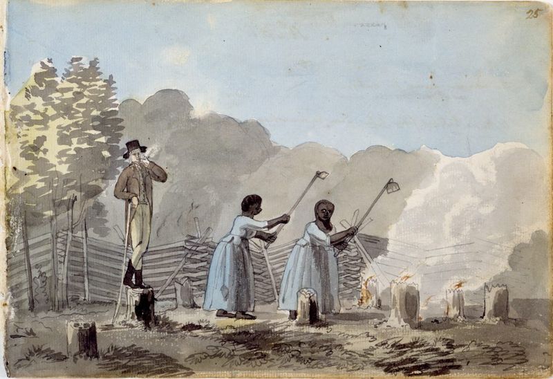 Elderly Slaves Were Often Left to Fend for Themselves