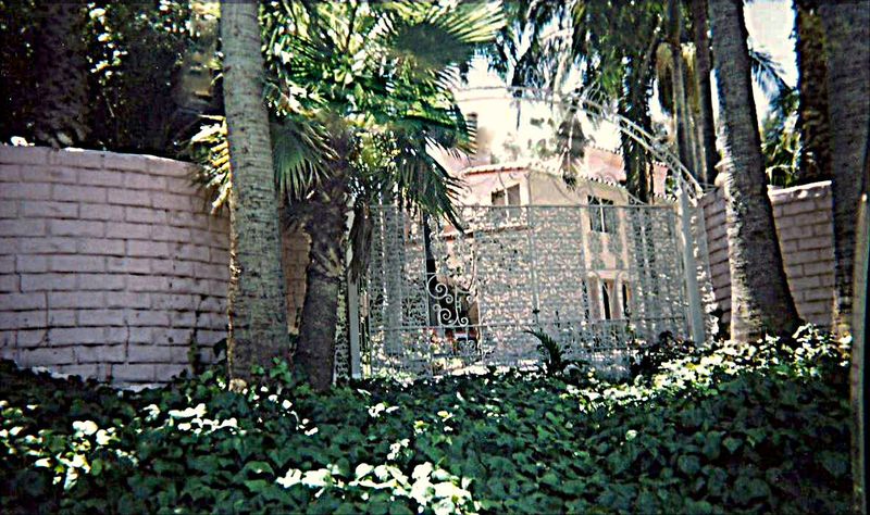 The Infamous Pink Palace